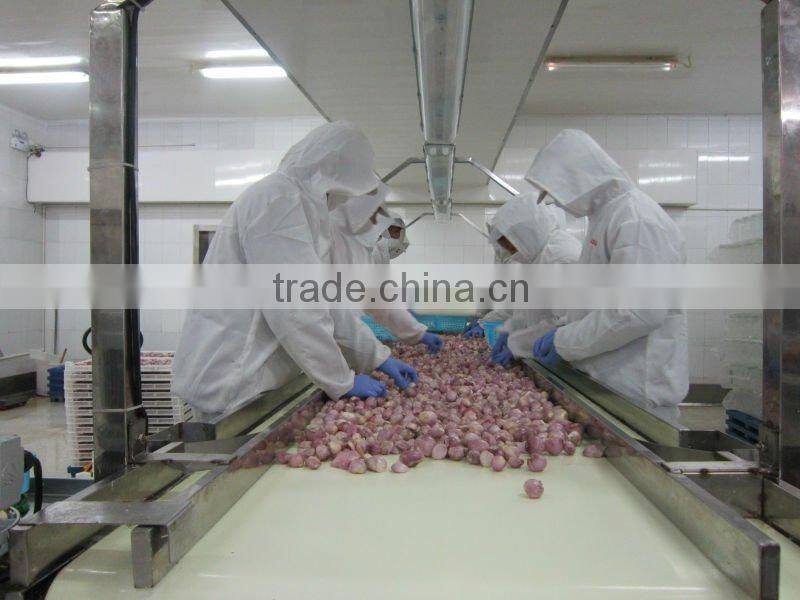 Yellow Onion Red Onion Specification Fresh