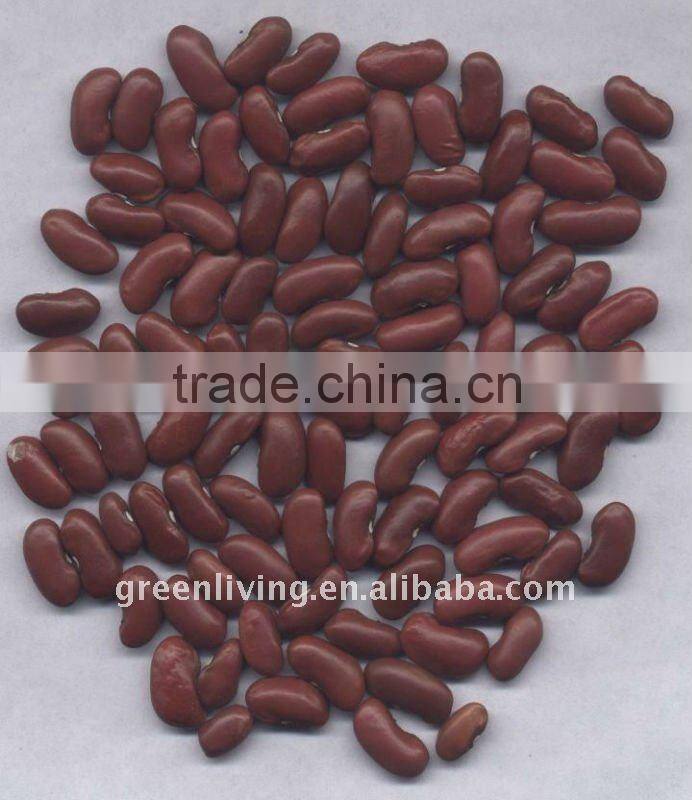 new dried red kidney bean (small and big)