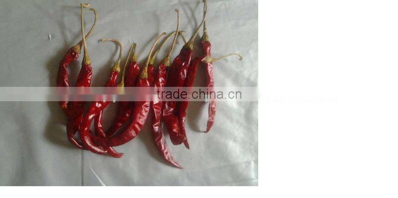 INDIAN FAMOUS WHOLE CHILI