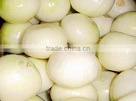 fresh onion