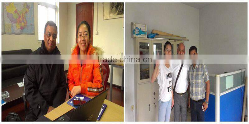 Tunnel Continuous Conveyor Belt Type Industrial Cardamom Drying/Dryer Machine