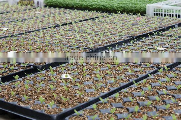 Golden Expanded Vermiculite for horticulture - seed starting or soil additive