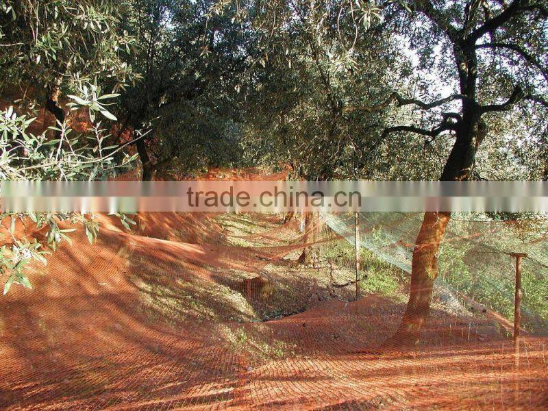 Easy Handling Olive Harvest Nets
