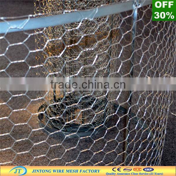 hexagonal wire mesh