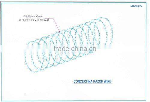 High Quality and Low Price Anti-climb Razor Barbed Wire Packing( (professional factory)