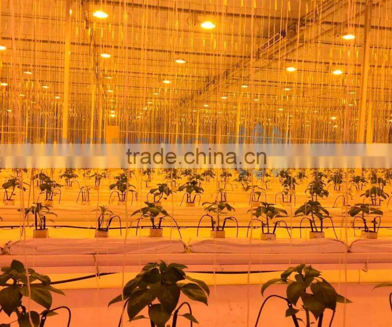 Artificial Lighting System for Greenhouse