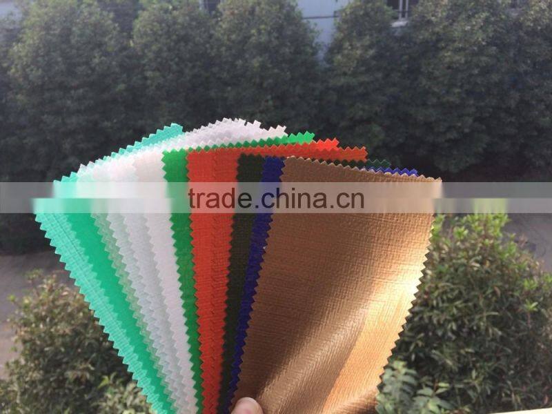 Plastic Weave water proof tarpaulin for irrigation