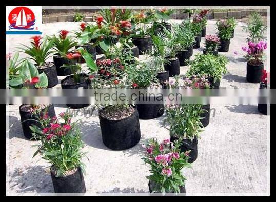 100% PP spunbond non-woven fabric used for non woven Seedling bag