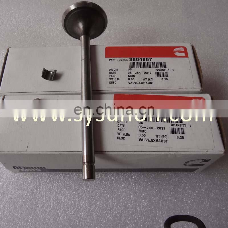 high quality QST30 Diesel Engine Intake Exhaust Valve 3804867 3094158 3093477 3093477 for excavator