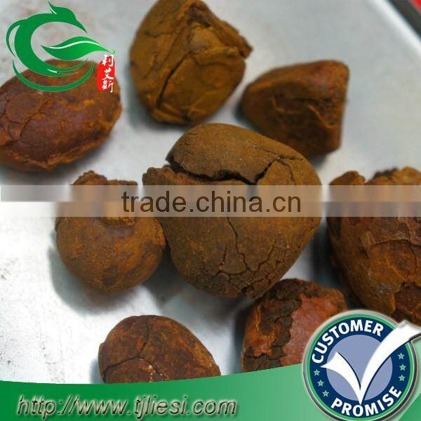 supply 2016 cattle ox cow gallstones bezoar with low price