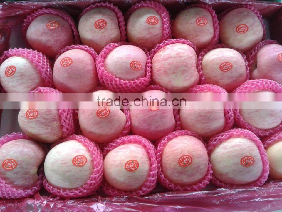 Best price bulk Yantai red Fuji apple fruit