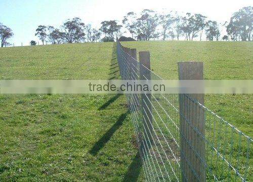 Welded Wire Mesh with personal factory