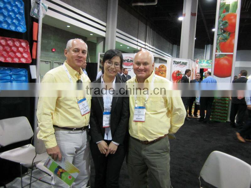 seed germination tray