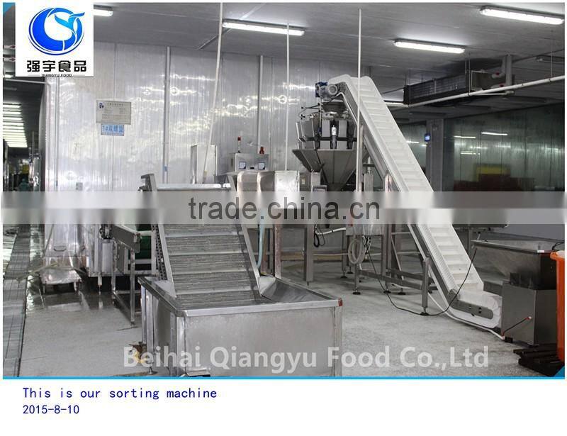 frozen bulk golden pomfret fish