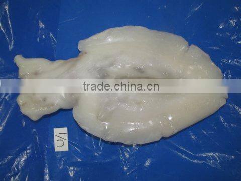 FROZEN CUTTLEFISH WHOLE CLEANED I F