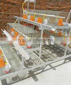 chicken and poultry farming use type poultry farming equipment