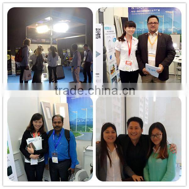2016 best selling 30W solar led street light price,12v IP65 5 years warranty solar power led street light