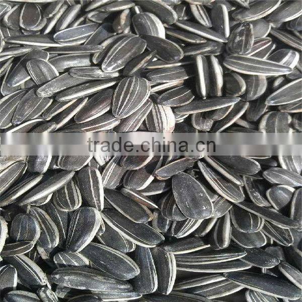 chinese sunflower seeds 5009 with market price