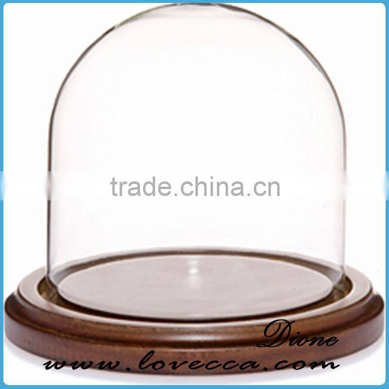 New christmas product wholesale fashion plant glass domes wholesae