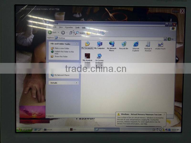 Professional English skin analysis software skin analyzer