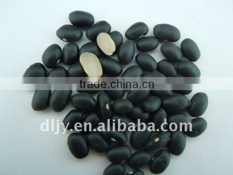 New Chinese Small Black Beans 2011 (white kernel )