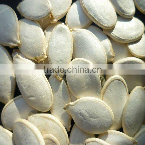 Chinese white pumpkin seeds for sale