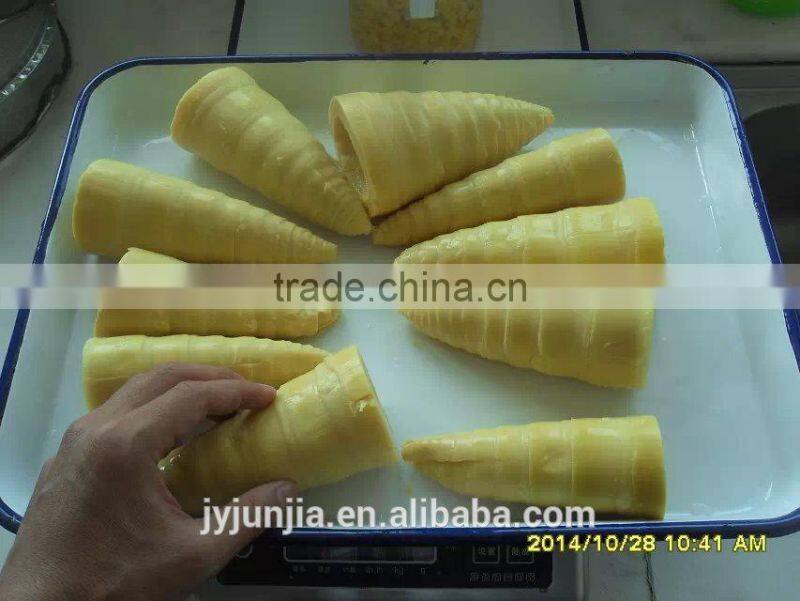 Fresh Bamboo Shoots With Tin