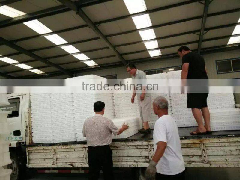 chicken coop for poultry farm