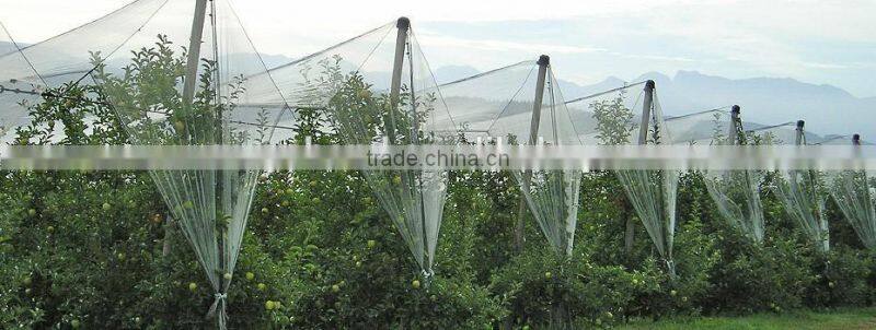 Yemen used plastic bee net/anti hail net for crops,Weave 13 mesh,plastic plate anti mesh net against hail for tree
