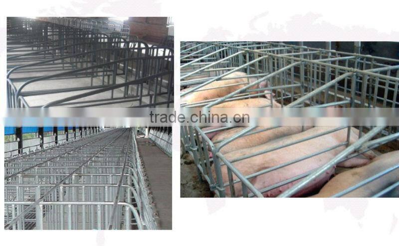 hot dipped galvanized pig keeping equipment