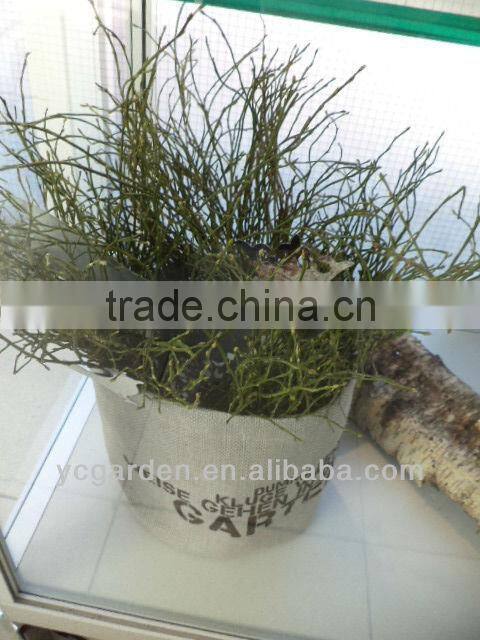 jute planter bag grow bag