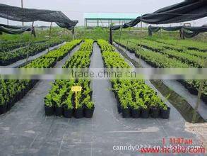 Best Seller Black PP Woven Glass Mulch