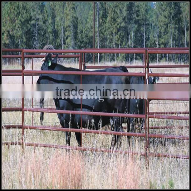 Hot sale cheap metal fence cattle panels, livestock fence, used livestock panel