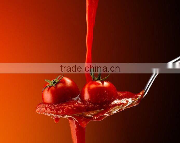 VFFS Automatic Tomato Paste Packing Machine piston filler