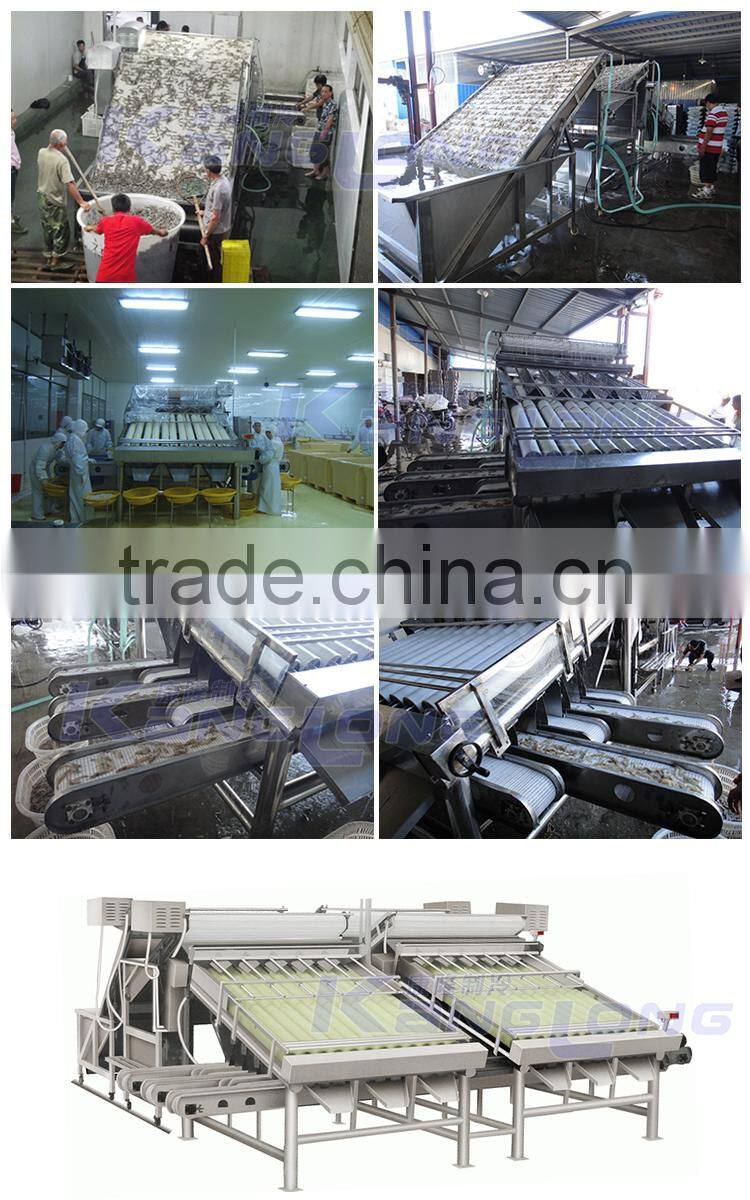 shrimp grading machine(shrimp sorter)