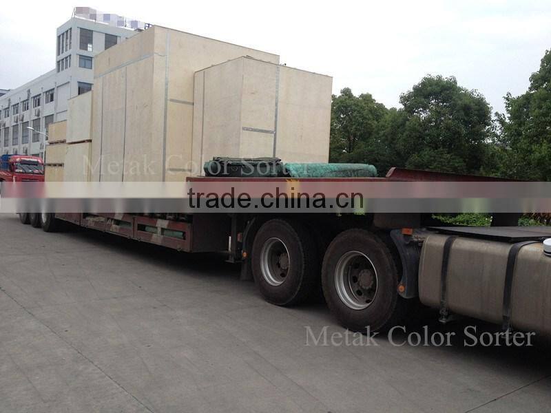 Metak Belt-type Conveyor Fruit Sorting Machine