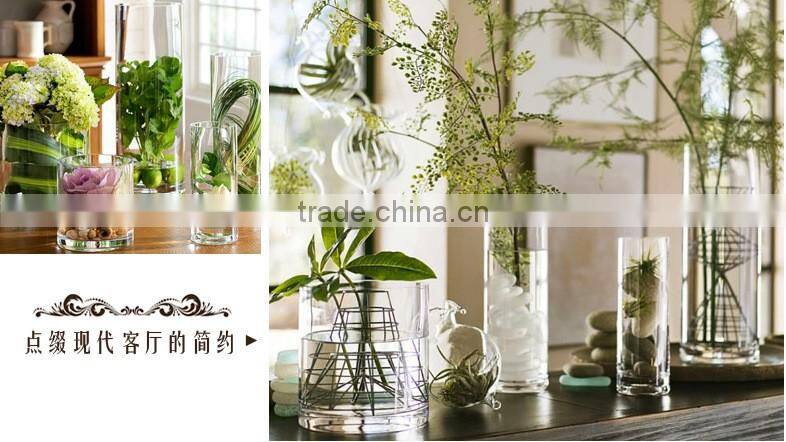 Cylindrical straight hydroponic glass containers transparent glass vase