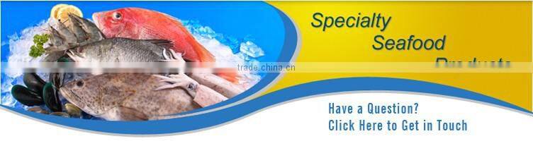 100% Fresh and Soft Best Quality Frozen Shrimps