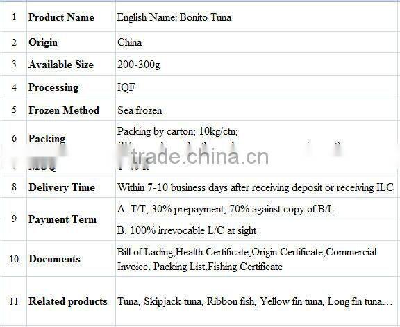 200-300G Frozen Bonito Tuna
