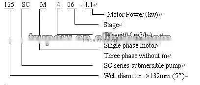 125SC4 Series Deep Well Submersible Pump