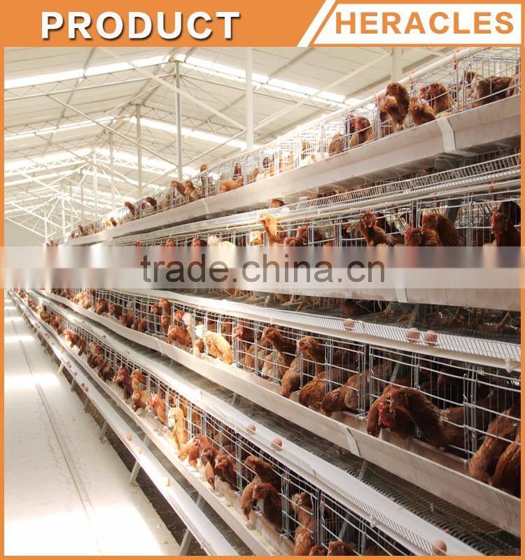 High quality cheap poultry cage layer chicken used chicken cage
