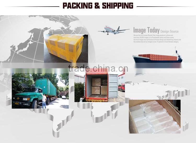 Pretty popular custom ec-friendly pizza plate