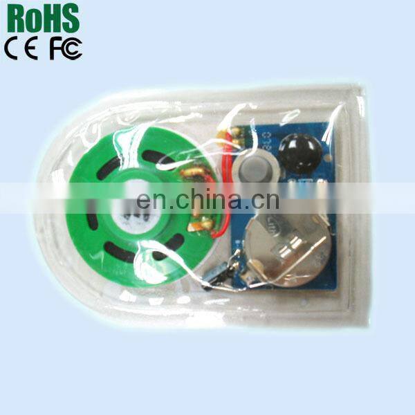 Waterproof sound chip for cloth or shoes