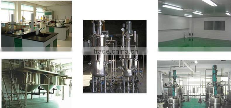 Food Grade And Cosmetic Grade Hyaluronic Acid Powder/Hyaluronic Acid (HA)