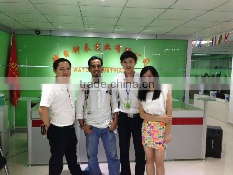 Genuine leather strap watches men luxury brand automatic Mechanical watches men wathes