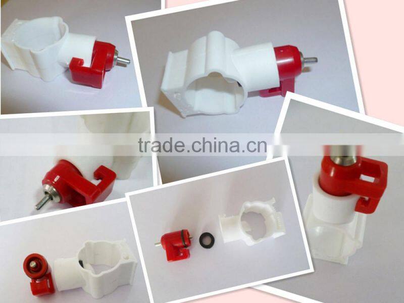 The chicken with a water fountain Chicken water fountain Large chicken with a water fountain