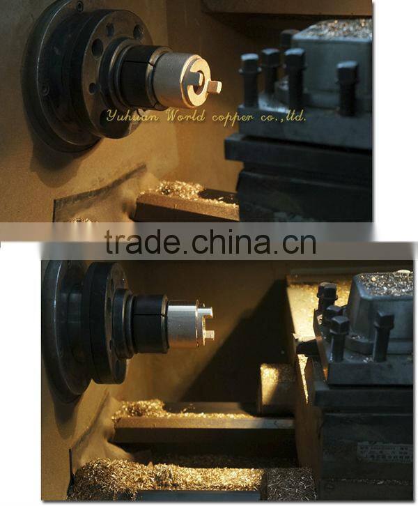 WD-1307 Bronze Spring Check Valve Foot Valve with net