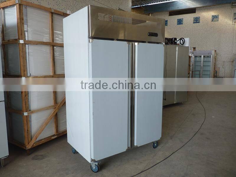 vertical deep freezer auto defrost for cake and pizza