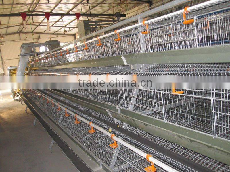 Africa Market Nigeria Farm Use Best Price Pullet Rearing Cage for one day old chicks