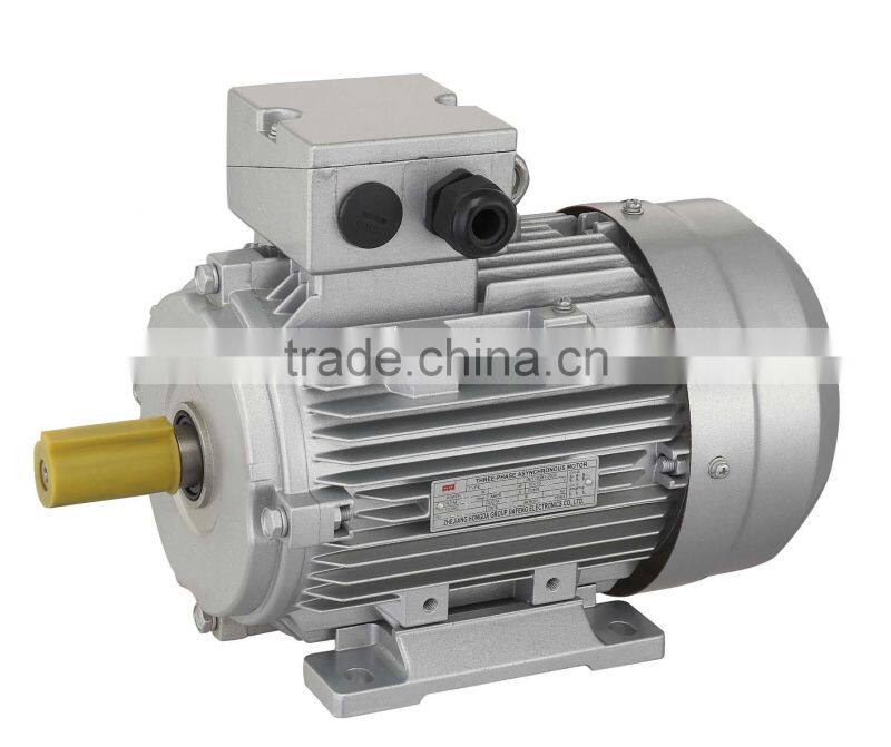 ANP gost standard alunminum and cast iron 3 phase ac induction electric motor